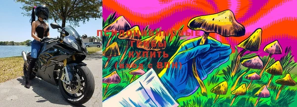 бошки Богородицк