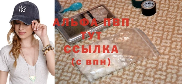 ешки Богданович