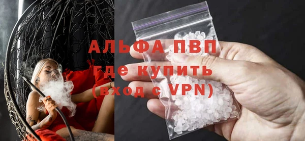 ешки Богданович